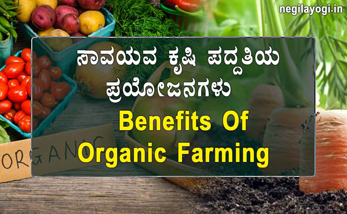 Benefits Of Organic Farming