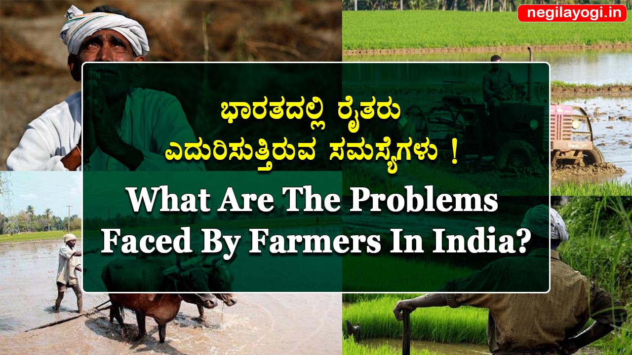 What Are The Problems Faced By Farmers In India?